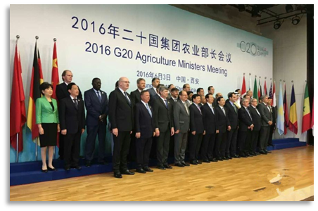 2016年二十国农业部长会议