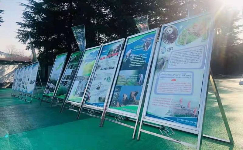 金惠案例：2021陕西省第八届“世界野生动植物日”宣传活动策划执行案例